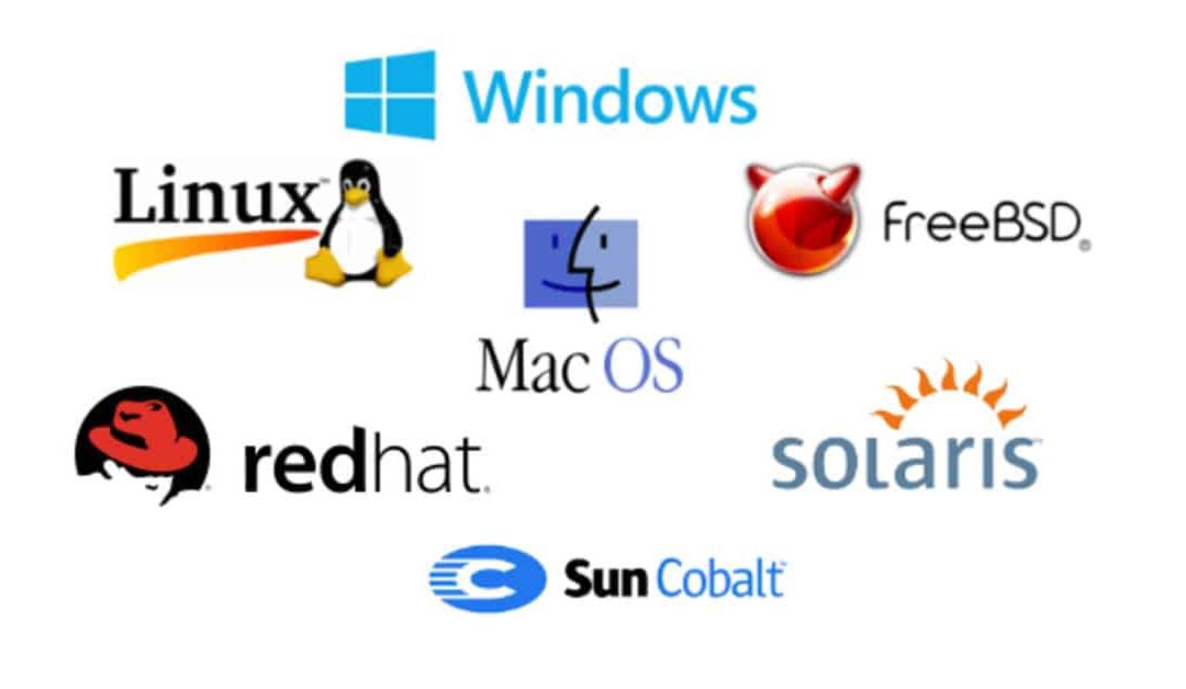 Choosing The Right Operating System- Netlogyx.Com.Au