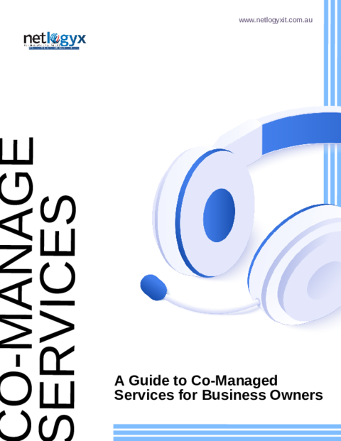 Cover: A Guide to Co-Managed IT for Business Owners